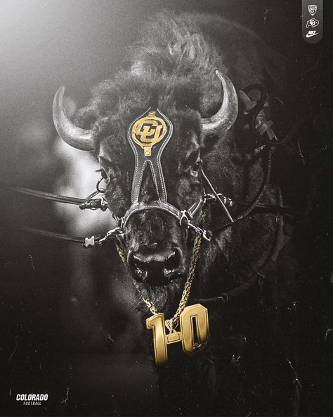 Akshay Ram on X Colorado Buffaloes Football, Buffalo Football, Colorado Buffaloes, Missouri Tigers, Sports Logos, Sports Graphic Design, Photorealism, Sports Design, Sports Logo