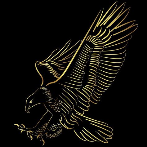 Blad Eagle flying over black background Blad Eagle, Eagle Flying, Bear Patterns, Garden Paving, Eagle Black, Golden Eagle, Tree Saw, Dj Music, Cityscape Photos