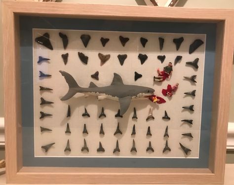 Shark Teeth Display Ideas, Shark Stuff, Souvenir Display, Sharks Teeth, She Sells Seashells, Shark Tooth, Seashell Crafts, Shark Teeth, Beach Fun