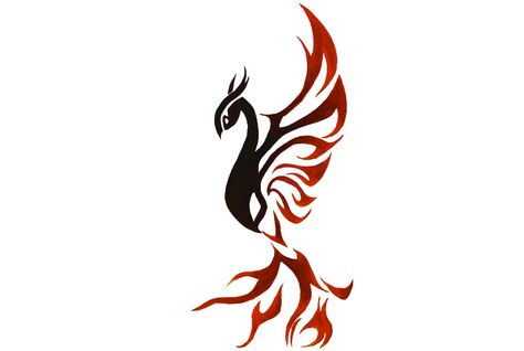 Phoenix Bird Art, Phoenix Tattoo Feminine, Small Phoenix Tattoos, Phoenix Artwork, Phoenix Images, Phoenix Tattoos, Phoenix Tattoo Design, Alpha Sigma, Phoenix Art