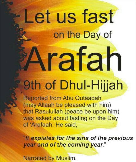 9 dhul hijjah.   ~Amatullah♥ Hajj Quotes, Day Of Arafah, Peace Meaning, Islam Lesson, Month Quotes, Islamic Events, Sunshine Quotes, What Day Is It, Islam Religion