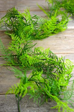 8.00 SALE PRICE!     Enhance your decorations and floral garlands with this artificial asparagus fern garland. It is plastic so it can be used outside also. ... Fern Garland, Cajun Party, Bouquet Succulent, Fern Wedding, Crystal Garland, Ribbon Ideas, Asparagus Fern, Floral Garland, Center Pieces