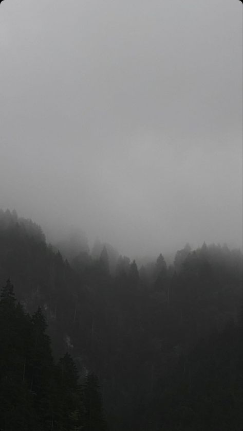 Mysterious Pictures Photography, Relaxing Wallpaper Iphone, Grey Fall Aesthetic, Dull Wallpapers, Cold Wallpaper Aesthetic, Gloomy Wallpaper, Foggy Aesthetic, Creepy Forest, Conceptual Image