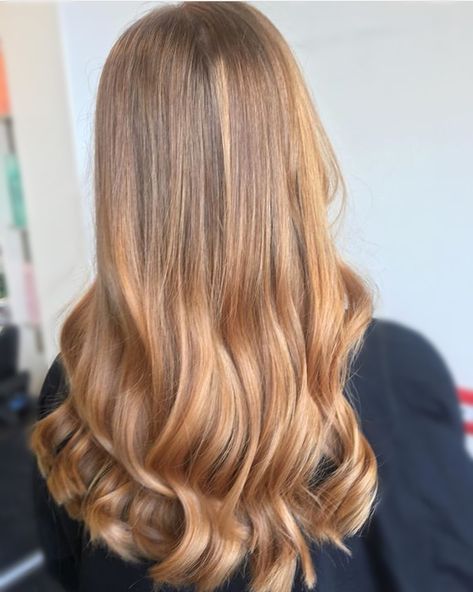 Soft Peach Hair, Peach Honey, Caramel Blonde Hair, Honey Blonde Hair Color, Copper Balayage, Strawberry Hair, Inspo Hair, Peach Hair, Caramel Blonde