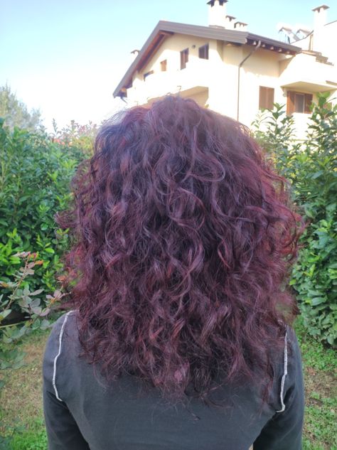 Black cherry red hair Red On Curly Hair, Cherry Red Wavy Hair, Deep Purple Curly Hair, Curly Plum Hair, Cherry Plum Hair Color, Black Cherry Curly Hair, Dark Cherry Red Hair Curly, Wavy Dark Red Hair, Cherry Cola Hair Color Curly