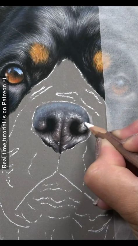 Animal Portraits Art Drawings, Dog Nose Drawing, Human Nose, Dog Noses, Dog Drawing Tutorial, Drawing Dogs, Dog Watercolor Painting, Dog Portraits Painting, Dog Drawings