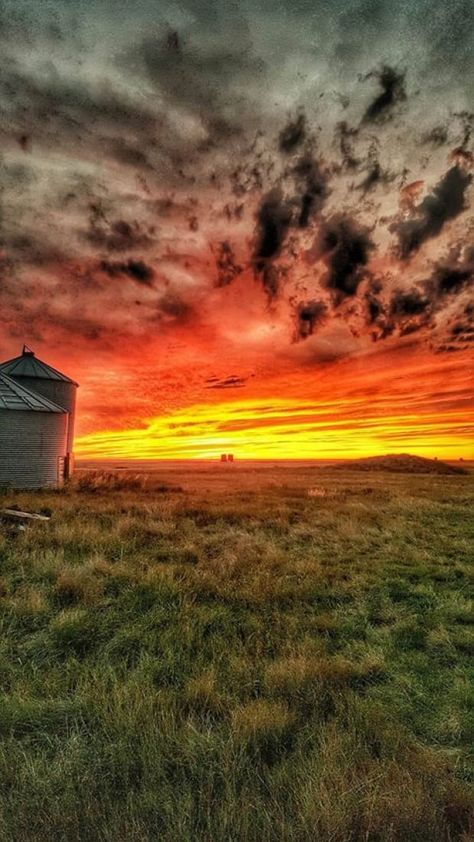 Awe-inspiring Saskatchewan sunrises and sunsets Sunset Landscape Photography, Your Month Your, Country Sunset, Photos Black And White, Country Backgrounds, Sunrises And Sunsets, Sunrise Pictures, Sunset Rose, Söt Katt