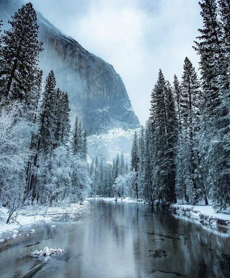 California Hikes, Sequoia National Park, Yosemite Valley, Winter Scenery, Amazing Travel Destinations, Explore Nature, Yosemite National, Winter Photography, Yosemite National Park