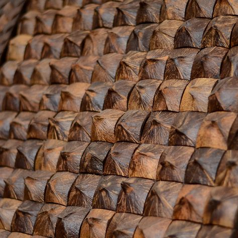 Decorative material from Coconut shell buds Coconut Shell Wall Decor, Coconut Decor, Coconut Design, Coconut Decoration, Shell Artwork, Lodge Ideas, Indochine Style, Coconut Shell Crafts, Shell Tiles