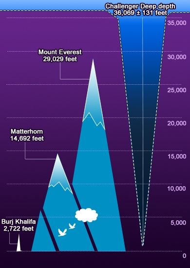 Mariana trench comparison. Deep Sea Exploration, Ocean Trench Deep Sea, Map Sea Monster, Mariana Trench Ocean, Sea Level Rise Infographic, Fictional Maps, World Oceans And Seas Map, Mariana Trench, Ocean Trench