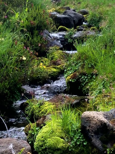 Small Stream In Garden, Brook Nature, Babbling Brook, Garden With Stones, Garden Stream, Dream Yard, Backyard Water Feature, Moss Garden, Pond Design