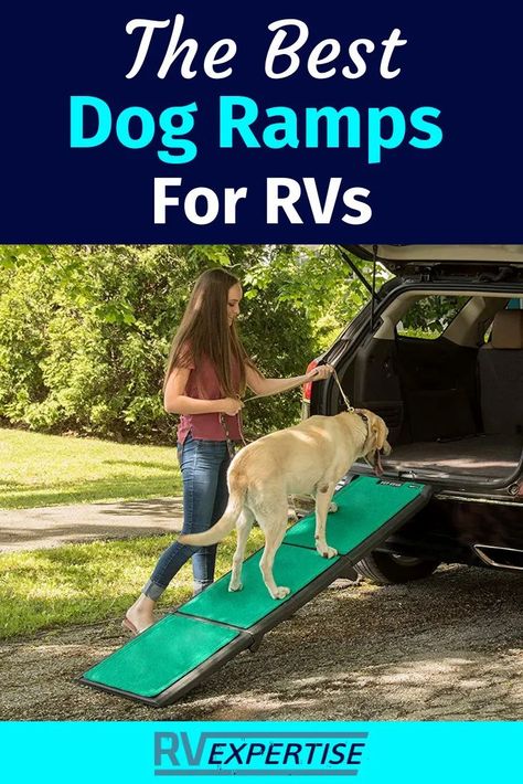 Looking for a new dog ramp for RVs and camping? Perfect! Cause we have reviewed this year�s top models. Dog Ramp For Truck, Rv Dog, Rv Pet, Pet Ramp, What Kind Of Dog, Life On The Road, Dog Ramp, Buying An Rv, Support Dog