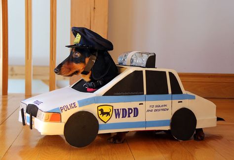 Dachshund Costume, Crusoe The Celebrity Dachshund, Dachshund Quotes, Cops And Robbers, Fancy Chickens, Dachshund Funny, Sausage Dogs, Funny Dachshund, Weenie Dogs