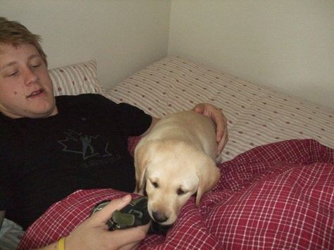 Morgan Rielly, i cannot deal with the amount of cute in this piccy Morgan Rielly, Mitch Marner, Toronto Maple Leafs Hockey, Maple Leafs Hockey, Yellow Lab, Hockey Player, Toronto Maple, Toronto Maple Leafs, Maple Leaves