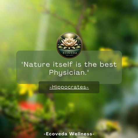 #ayurvedaquotes✍🪷 "Nature itself is the best physician." – Hippocrates #ecovedawellness #healthylifestyle #reproductivehealth #ayurveda #ayurvedalifestyle #mindbodysoul #mindandbody #bodyhealth #health #ayurvedahealing #wellnessenthusiasts #Australia🦘 Ayurveda Quotes, Reproductive Health, Mind Body Soul, Natural Products, Body Health, You Are Awesome, Ayurveda, Feel Confident, Every Woman