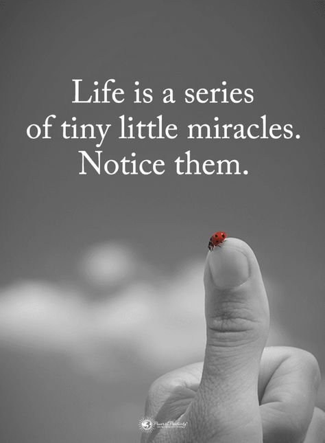 Miracle Quotes, Reality Quotes, Quotes About God, Inspirational Quotes Motivation, Thoughts Quotes, A Series, Meaningful Quotes, The Words, Spiritual Quotes