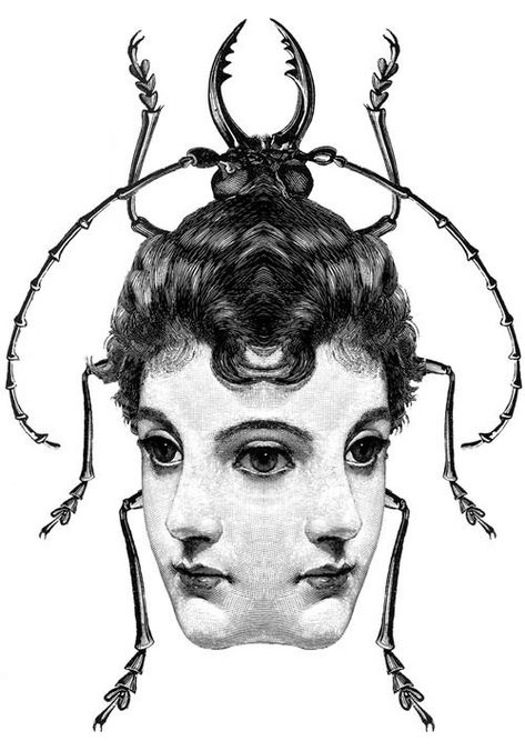 Dan Hillier, Metamorphosis Art, Art Surreal, Eye Of The Beholder, Occult Art, Surreal Art, The Eye