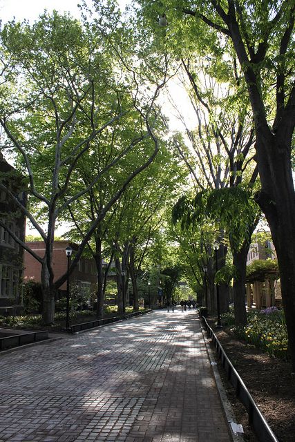 University Of Pennsylvania Wallpaper, University Of Pennsylvania Aesthetic, Philadelphia Pennsylvania Aesthetic, York College Of Pennsylvania, State College Pennsylvania, College Architecture, University Of Pennsylvania, Penn State University, State College