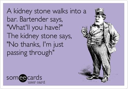 A kidney stone walks into a bar. Bartender says, 'What'll you have?' The kidney stone says, 'No thanks, I'm just passing through'. Kidney Stone Meme, Server Humor, Nerdy Nurse, Stone Quotes, Kidney Stone, Alcohol Humor, No Thanks, Thought Provoking Quotes, Medical Humor