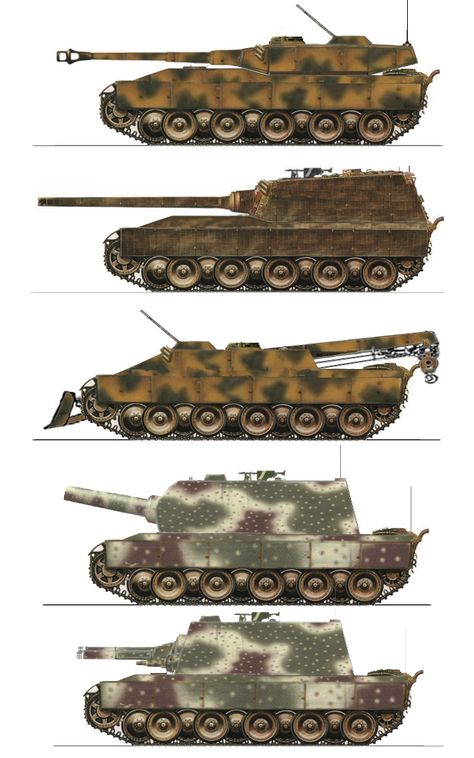 PANZERKAMPFWAGEN VIII MAUS - the Colossal Tank Afrika Corps, Combat Arms, Tank Armor, Tank Destroyer, Tiger Tank, Ww2 Tanks, Model Tanks, German Tanks, Battle Tank