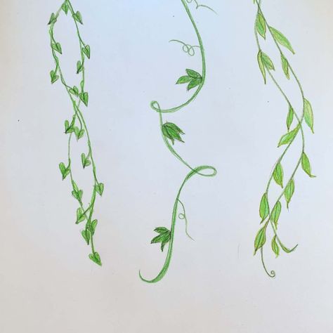 Twisting Vines Drawing, Leafs Drawings Simple, Swirly Vines Drawing, Acrylic Vines Painting, Vines With Flowers Painting, Flower With Vines Drawings, Flowers On A Vine Painting, How To Draw Vines And Flowers Step By Step, Ivy Vines Drawing Simple