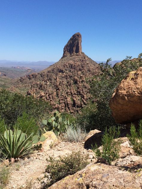 Arizona Wildflowers, Goldfield Ghost Town, Apache Junction Arizona, Bullhead City Az, Arizona City, Bullhead City, Apache Junction, Superstition Mountains, Nevada Travel