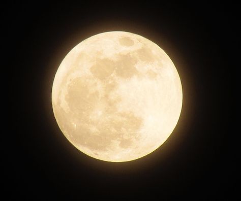 Free photo: Moon, Full Moon, Night - Free Image on Pixabay - 1109746 Worm Moon, Full Moon Cycle, Moon Icon, Full Moon Night, Charge Crystals, Yellow Moon, Moon Images, Fall Gathering, Planets Wallpaper