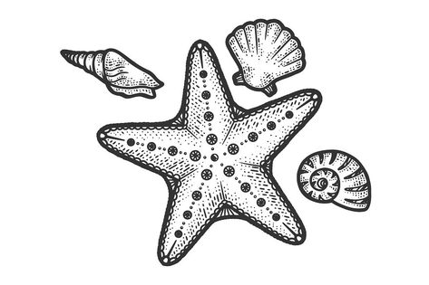 Starfish Reference, Starfish Sketch, Starfish Illustration, Starfish Drawing, Beachy Tattoos, Starfish Tattoo, Diy Pottery Painting, Sea Print, Beach Tattoo