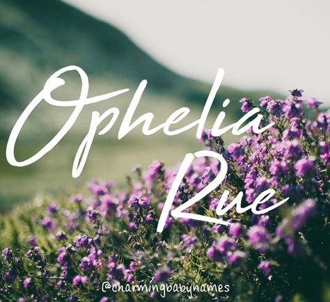 Willa Name Meaning, Rue Name Meaning, Vanessa Name Meaning, Violet Name Meaning, Ophelia Meaning Name, Violette Name Meaning, Female Character Names, Sweet Baby Names, Bible Verses For Women