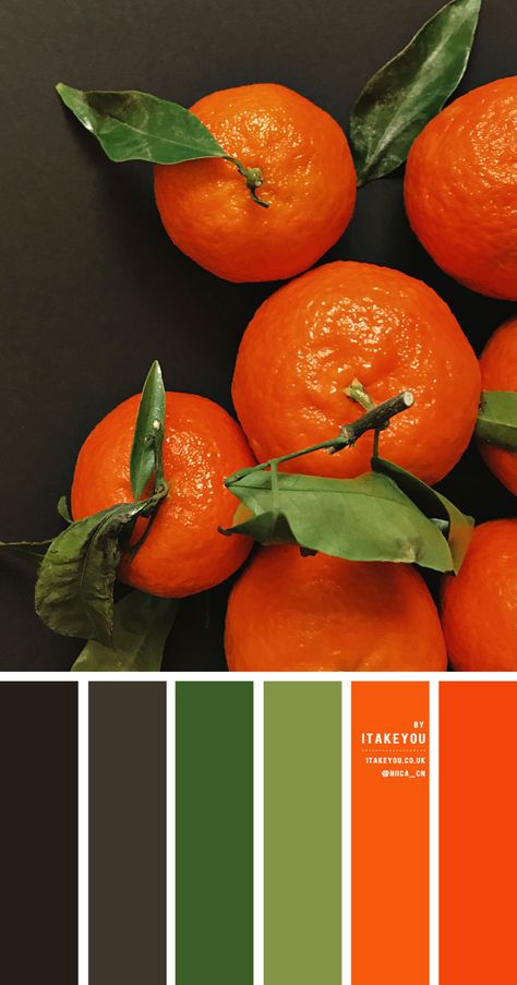 Black Green and Orange Color Scheme – Color Palette #29 1 - I Take You | Wedding Readings | Wedding Ideas | Wedding Dresses | Wedding Theme Black Green Orange Color Palette, Orange Black Palette, Color Palette Orange Purple, Orange Combination Color, Orange And Black Color Palette, Orange Color Combinations, Terracotta Colour, Combination Color, Orange Palette