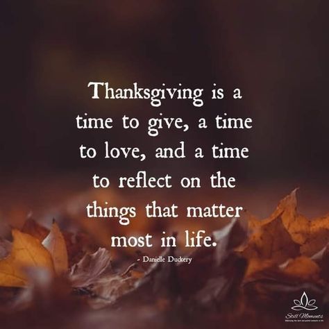 Happy Thanksgiving Images, November Quotes, Good Morning Motivation, Thanksgiving Gratitude, Season Quotes, Thanksgiving Time, Thanksgiving Prayer, Thanksgiving Images, Thankful Heart