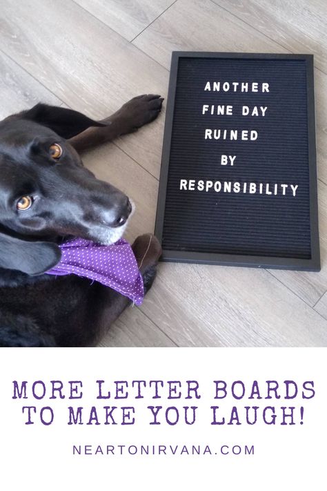 Reader Board Quotes Funny, Witty Letter Board Quotes, Funny Home Letter Board Quotes, Inappropriate Letter Board Quotes, Funny Quote Boards, June Letterboard Quotes Funny, Funny Work Letter Board Quotes, August Letterboard Quotes Funny, August Letterboard