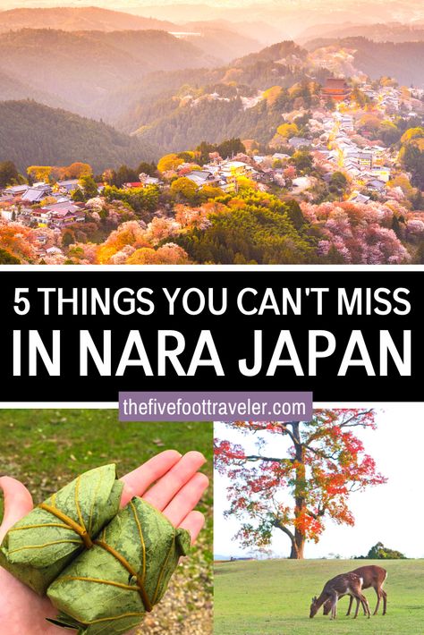 Things To Do In Nara Japan, Nara Japan Travel, Nara Prefecture Japan, Nara Deer Park Japan, Odawara Japan, Nara Itinerary, Nara Day Trip, Narita Japan Things To Do, Japan Nara