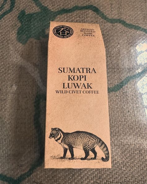 This weekend I have been trying Kopi Luwak from @imperial_teas_of_lincoln Kopi Luwak, or civet coffee, is made from beans eaten and excreted by the Asian palm civet. This process involves the civet eating coffee cherries, with the beans fermenting as they pass through its digestive system. The beans are then collected, cleaned, and processed. Known for its smooth, rich flavor, Kopi Luwak is among the world’s most expensive coffees due to its unique production method. However, ethical concer... Asian Palm Civet, Palm Civet, Kopi Luwak Coffee, Civet Coffee, Luwak Coffee, Sumatra Coffee, Expensive Coffee, Animal Protection, Coffee Packaging