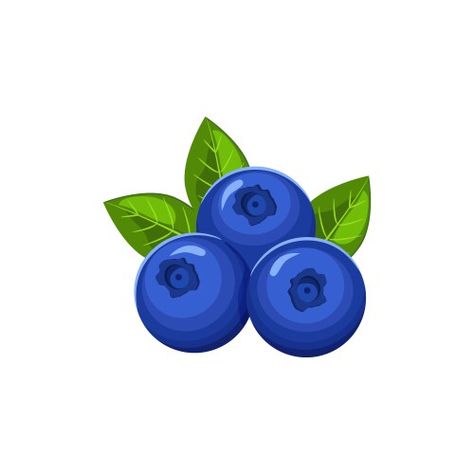 Blueberry icon isolated Royalty Free Vector Image Blueberry Vector, Blueberries Drawing, Blueberry Cartoon, Cartoon Blueberry, Blueberry Drawing, Blueberry Illustration, Blueberry Images, Blueberry Art, Cute Elephant Cartoon