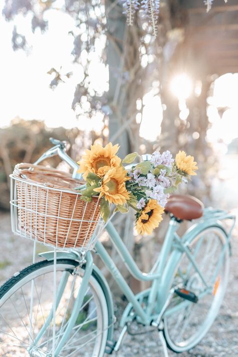 The prettiest bike by Reid Bicycles! Happy to do photoshoots everyday on this beauty 👌🏻 #vintagebike #vintagestyle #vintageaesthetic #bikelife #sunflower #bikebasket #bicycle #bicycledesign #floral Spring Bike Aesthetic, Summer Bike Aesthetic, Cycle With Flower Basket, Bike Basket Aesthetic, Vintage Bike Aesthetic, Spring Aesthetic Photography, Aesthetic Bicycle, Vintage Spring Aesthetic, Vintage Bicycle Decor