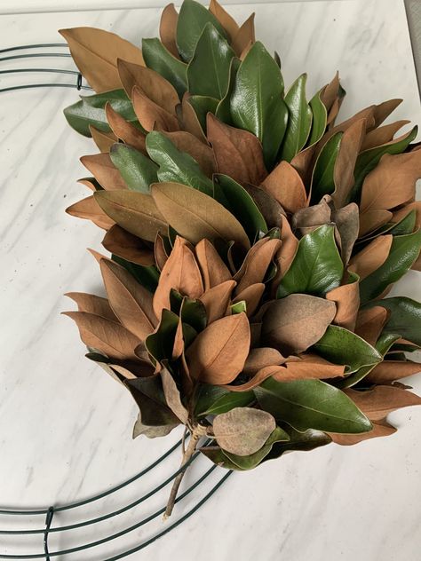 DIY Fall Magnolia Wreath - Domestically Blissful Magnolia Wreath Diy, Domestically Blissful, Diy Magnolia Wreath, Magnolia Decor, Magnolia Leaf Wreath, Easy Fall Wreaths, Metal Wreath Frame, Wire Wreath Frame, Door Wreaths Diy