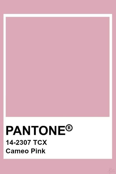 Pantone Cameo Pink Pink Pantone, Pink Pins, Pantone Tcx, Pantone Color Chart, Pantone Swatches, Pantone Palette, Color Pantone, Pantone Colour Palettes, Color Chip