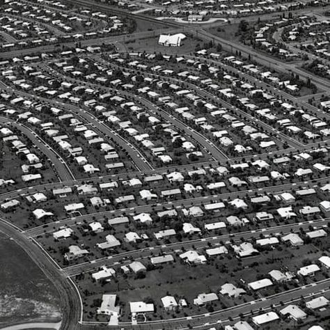 1950s Suburbia, Levittown Pennsylvania, Suburban Gothic, Racial Diversity, Pennsylvania History, City Ideas, Oc Board, Pics Vintage, City Skylines