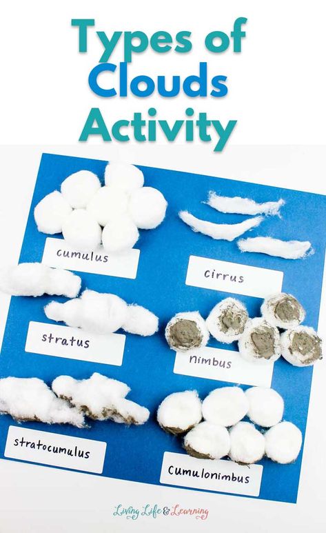 This fun clouds activity will help your early learner be able to identify the clouds easily when they're looking up at the sky. You just need a few simple supplies and you'll be ready in no time at all. Perfect way to study rain and the clouds that make them.#homeschoolscience #weather #clouds #scienceactivities #LivingLifeandLearning Cloud Types With Cotton Balls, Things In The Sky Preschool Activities, Types Of Clouds Project, Cloud Identifier, Types Of Clouds For Kids, Types Of Clouds Activities, Cloud Worksheet, Clouds Worksheet, Clouds Types