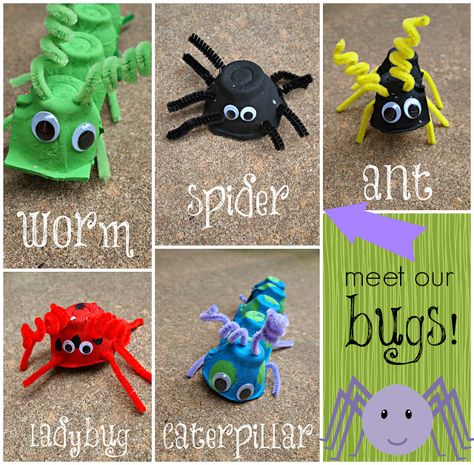 After kids observe bugs in the garden, they can craft these crawly critters out of pipe cleaners and household items. Egg Carton Art, Insect Crafts, Bug Crafts, Egg Carton Crafts, Ginger Snap, Kid Craft, Egg Carton, Camping Crafts, Craft Tutorial