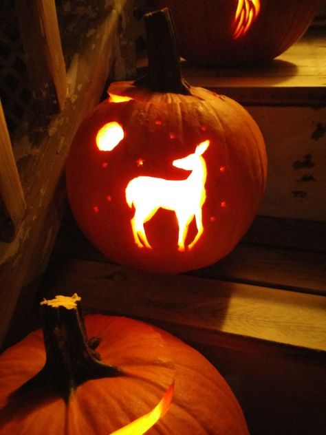 Pumpkin Carving Ideas Deer, Deer Pumpkin Carving Ideas, Deer Pumpkin Carving, Deer Pumpkin, Pumpkin Etching, Deer Carving, Pumpkin Pumpkin Carving, Pumpkin Carving Halloween, Pumpkin Carve