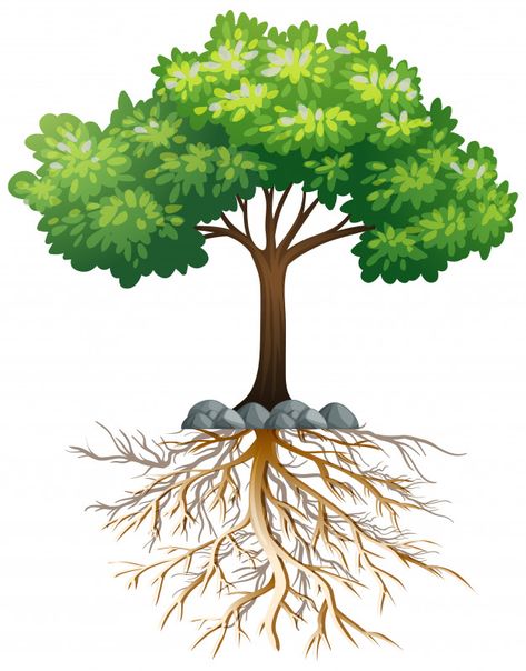 Big green tree with roots underground on... | Premium Vector #Freepik #vector #tree #green #nature #cartoon Roots Underground, Leaf People, Cacing Tanah, Roots Drawing, Flat Tree, Tree With Roots, Nature Cartoon, Tree Logo Design, 달력 디자인