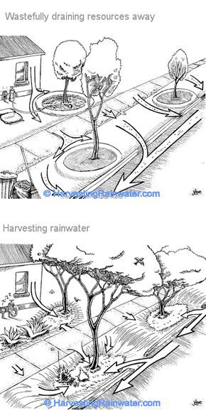 Greenhouse Design, Rain Harvesting, Water From Air, Rain Gardens, Pub Set, Permaculture Gardening, Permaculture Design, Rainwater Harvesting, Dry Creek