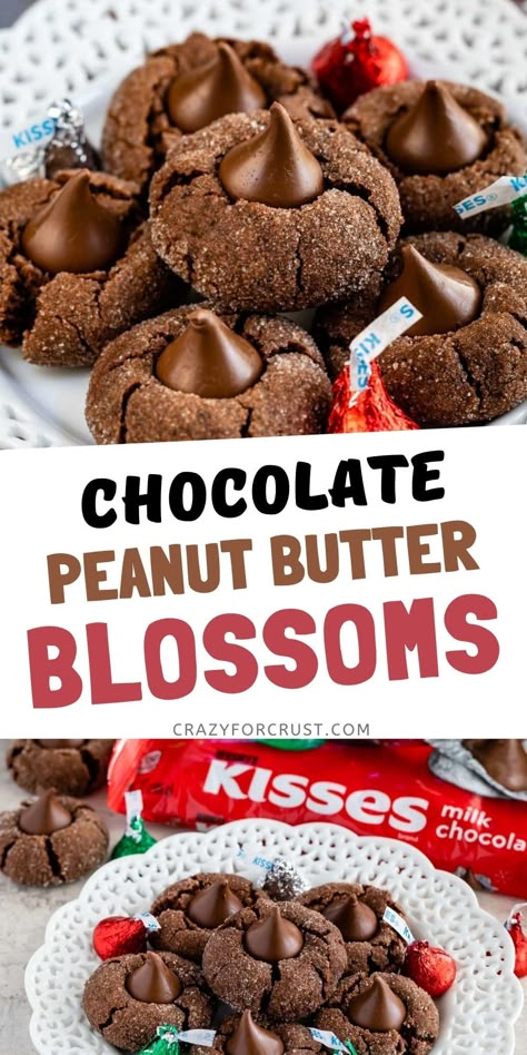 Chocolate Peanut Butter Blossoms, Best Peanut Butter Blossom Cookies, Hershey Peanut Butter Blossoms, Hershey Blossom Cookies, Peanut Butter Kisses Cookies, Peanut Butter Blossoms Christmas, Chocolate Peanut Butter Blossom Cookies, Peanut Butter Blossoms Cookies, Cookies With Hershey Kisses