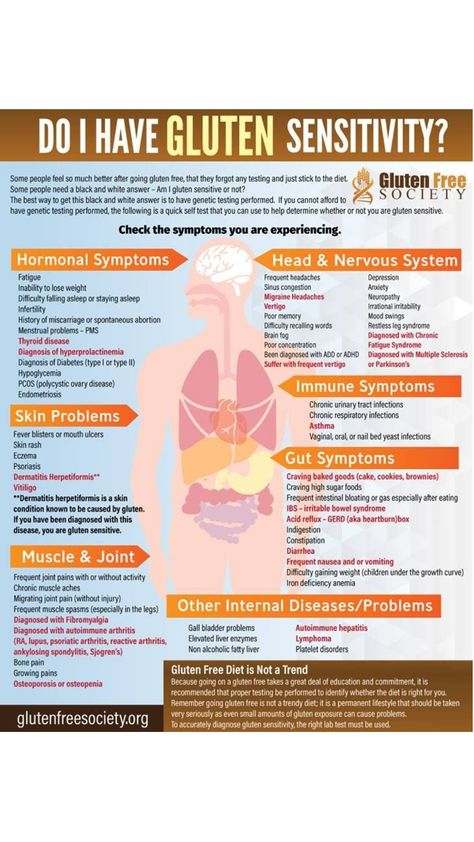 The proper gluten intolerance test tools must be used to accurately assess gluten sensitivity, whether in children or in adults. This is where a lot of people and doctors get confused. Without an accurate test, you may never have a black and white answer in regards to whether or not you have a gluten intolerance. […] Gluten Free Breakfast Ideas, Gfcf Diet, Brunch Inspiration, Gluten Free Breakfast, Going Gluten Free, Protein Pudding, Medical Tests, Gluten Sensitivity, Genetic Testing