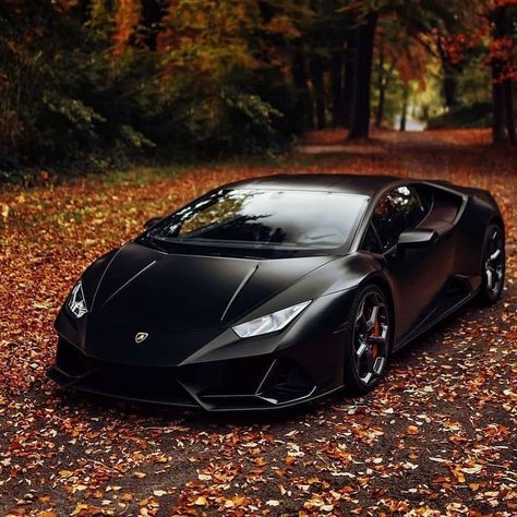 𝗟𝗔𝗠𝗕𝗢𝗥𝗚𝗛𝗜𝗡𝗜 on Instagram: “Rate this Black Lambo 1-10! Follow @lamborghinibestdaily 👌 for more Best Daily Lambo Content! Follow @lamborghinibestdaily 👌for Crazy…” Tmax Yamaha, Aventador Lamborghini, Car Comfort, Lamborghini Miura, Luxury Car Rental, Luxury Car Interior, Ferrari Laferrari, Lamborghini Cars, Super Luxury Cars