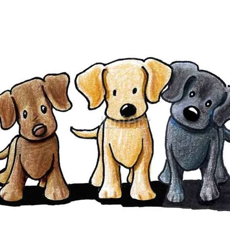 Dog Caricature, Dog Drawings, Caricature Artist, 강아지 그림, Labrador Retriever Dog, Retriever Dog, Dog Drawing, Dog Paintings, Cartoon Dog