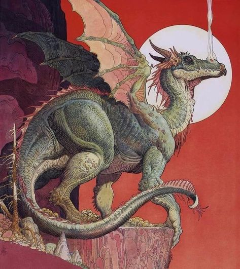 Dragon Medieval, Medieval Dragon, Dragon Illustration, Dragon Artwork, Dragon Drawing, Fantasy Dragon, A Dragon, Dragon Art, Wildlife Art