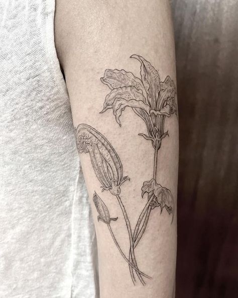 Karen Klink on Instagram: "Zucchini Flowers 🌝🔥🍃 For Raya 🧡" Zucchini Flower Drawing, Zucchini Flower Tattoo, Pumpkin Plant Tattoo, Pumpkin Flower Tattoo, Squash Blossom Tattoo, Zucchini Tattoo, Squash Tattoo, Your Body Is Your Home, Garden Tattoo Ideas